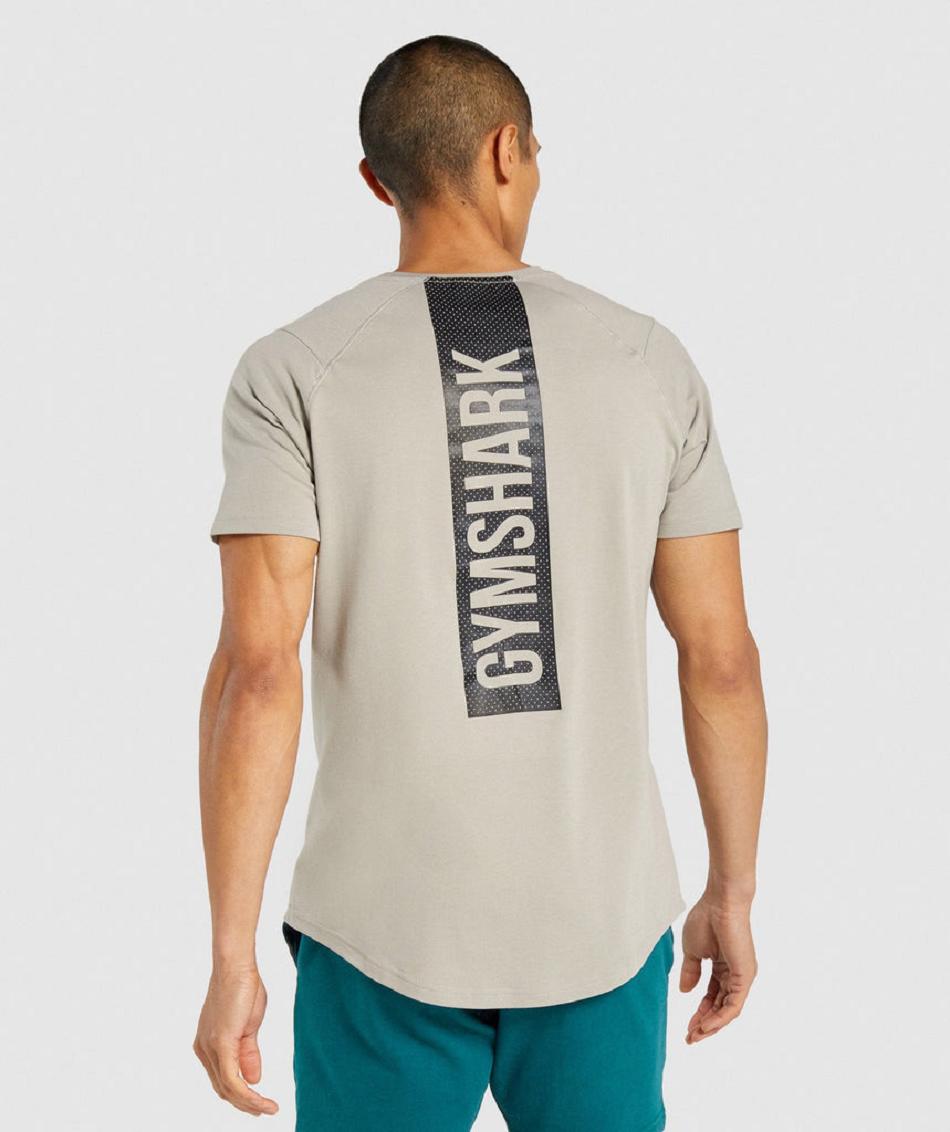 Gymshark Bold Muške T Shirts Sive | HR 2425CTV